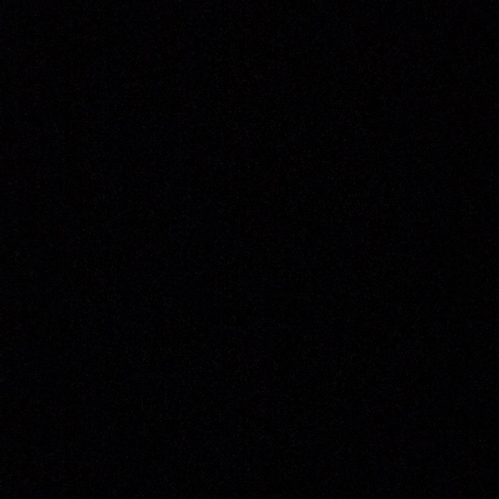 Meet your Posher, Daisy